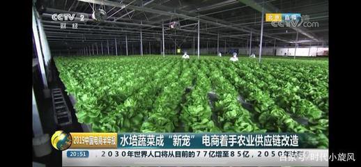 央視點(diǎn)贊 產(chǎn)銷一體化新模式，京東植物工廠為農(nóng)業(yè)發(fā)展提供新思路
